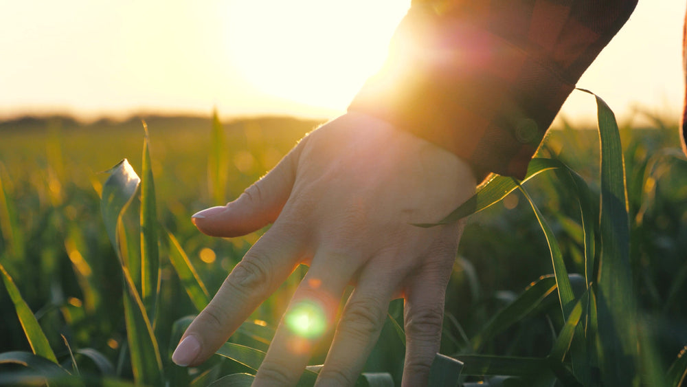 How to Support Nerve Health Naturally