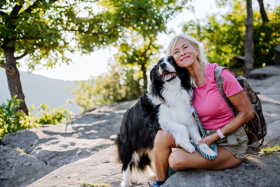 The Surprising Link Between Blood Sugar and Heart Disease