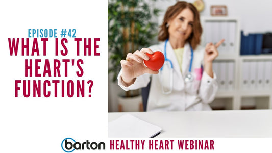 What is the Heart's Function