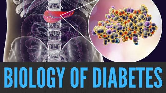 The Biology of Diabetes