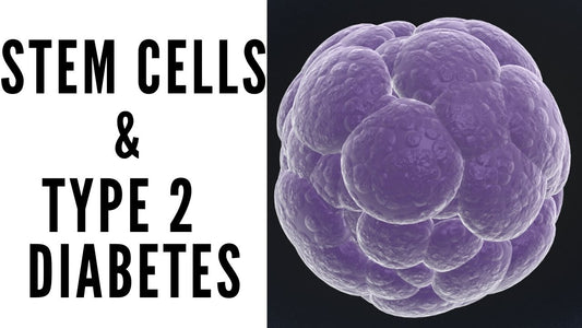 Stems Cells & Type 2 Diabetes