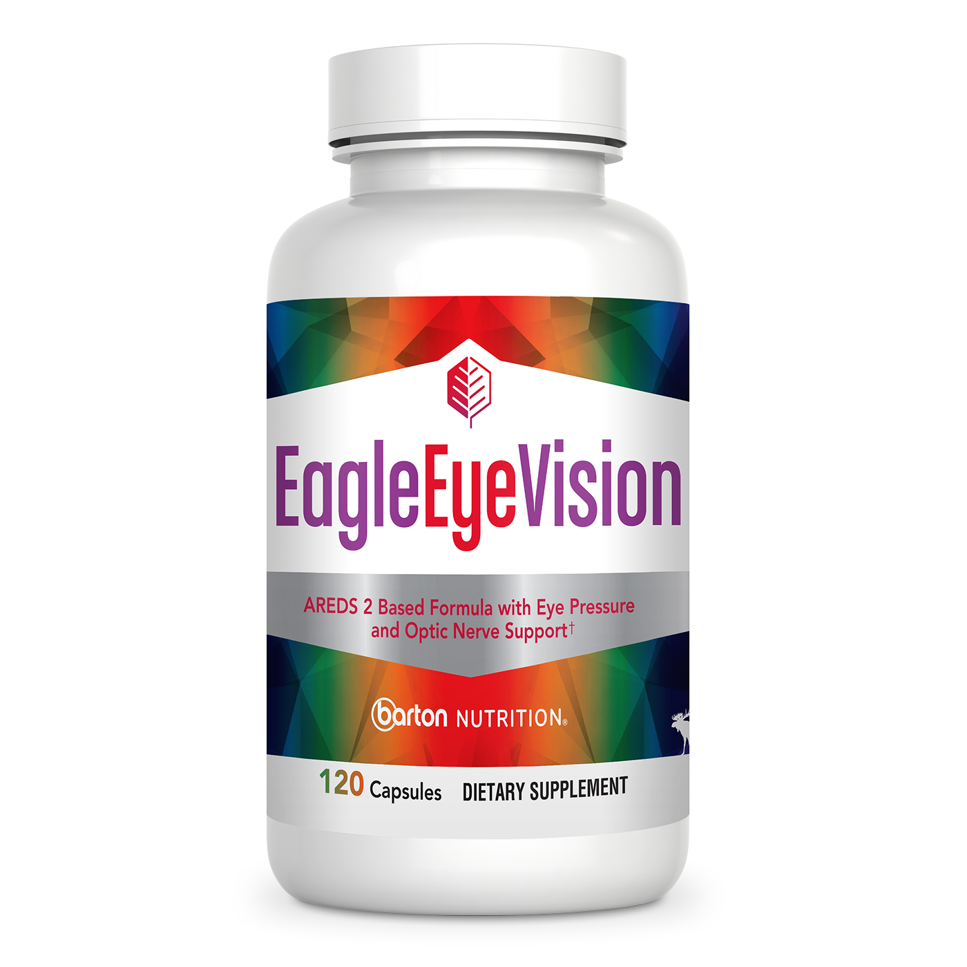 EagleEyeVision
