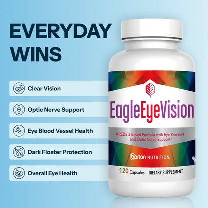 EagleEyeVision