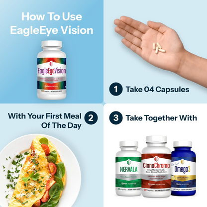 EagleEyeVision